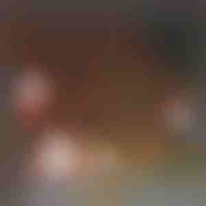 180x Autocolante de Crăciun | XMASCLINGS