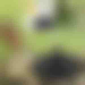 Dați viață grădinii dvs. cu fântâna magică solară | FONTANA