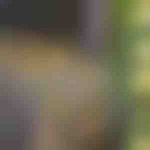 Instalație solară cu frunze artificiale de iederă (5 m) | LEAFGLO