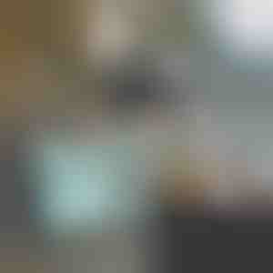 Cărucior multifuncțional | CARRYMAX