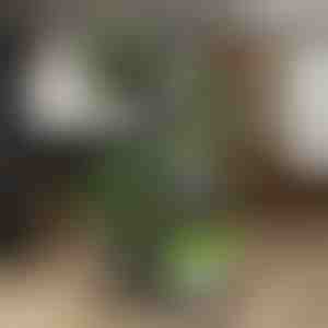 Suport pentru ghivece cu flori | POTSTAGE