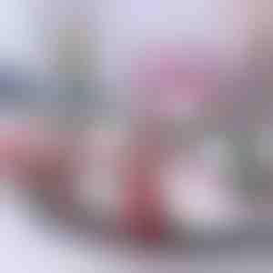 Tren cu tematică de Crăciun | TRAINMAS