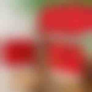 Huse pentru scaune de masă cu tematică de Crăciun (4 bucăți) | SANTASEAT