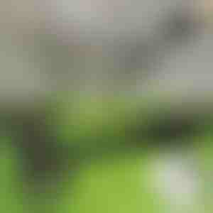 Dispozitiv pentru îndepărtarea buruienilor din picioare | RUNCO