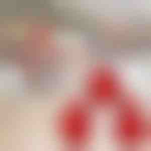 Set de forme pentru prăjituri de Crăciun (3pcs) | JOYPIE