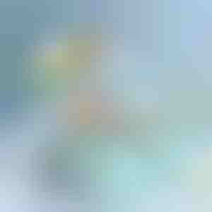 Cutie de depozitare cu niveluri multiple | BOKSARA