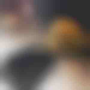 Presă pentru formarea chifteluțelor de hamburger | BURGIPRESS