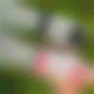 Pistol cu bule cu 69 de orificii și lumini LED | BUBBLEPUFF