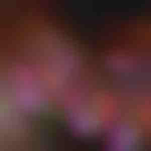 Lămpi solare pentru grădină în formă de floare | BLOSSUN