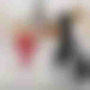 Mașină de făcut înghețată | FROSTMASTER