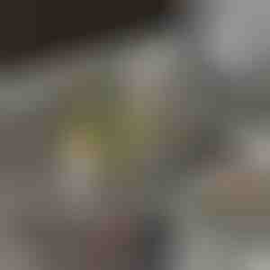 Coș de scurgere pentru chiuvetă | EVOSINK