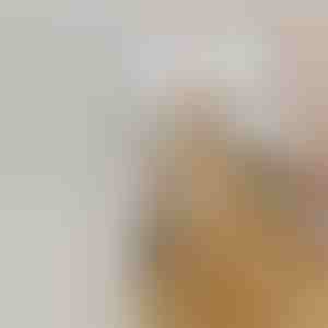 Perie cu aburi reîncărcabilă pentru îngrijirea animalelor de companie | GROOMSY