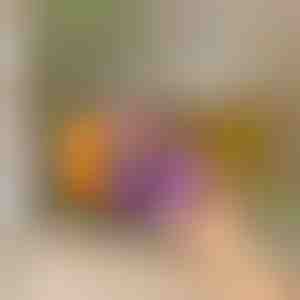 Organizator pentru frigider cu glisare automată | DRINZER