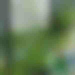 Plăci din iarbă artificială pentru decor (5 buc) | GRASSTILE