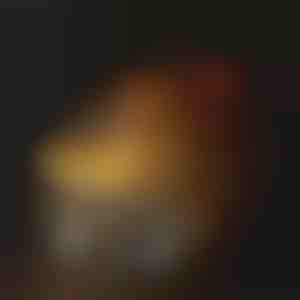 Fântână de hidratare pentru animale de companie | PETSPRINGLE