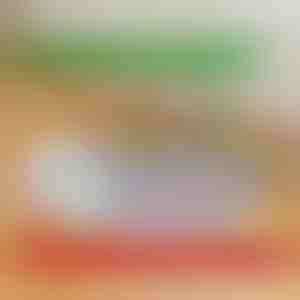 Covoraș reutilizabil și impermeabil pentru căței | PAWSORB